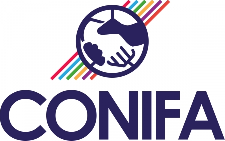 6 января состоится жеребьевка чемпионата мира по футболу ConIFA