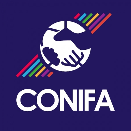 Прошла жеребьевка чемпионата мира ConIFA