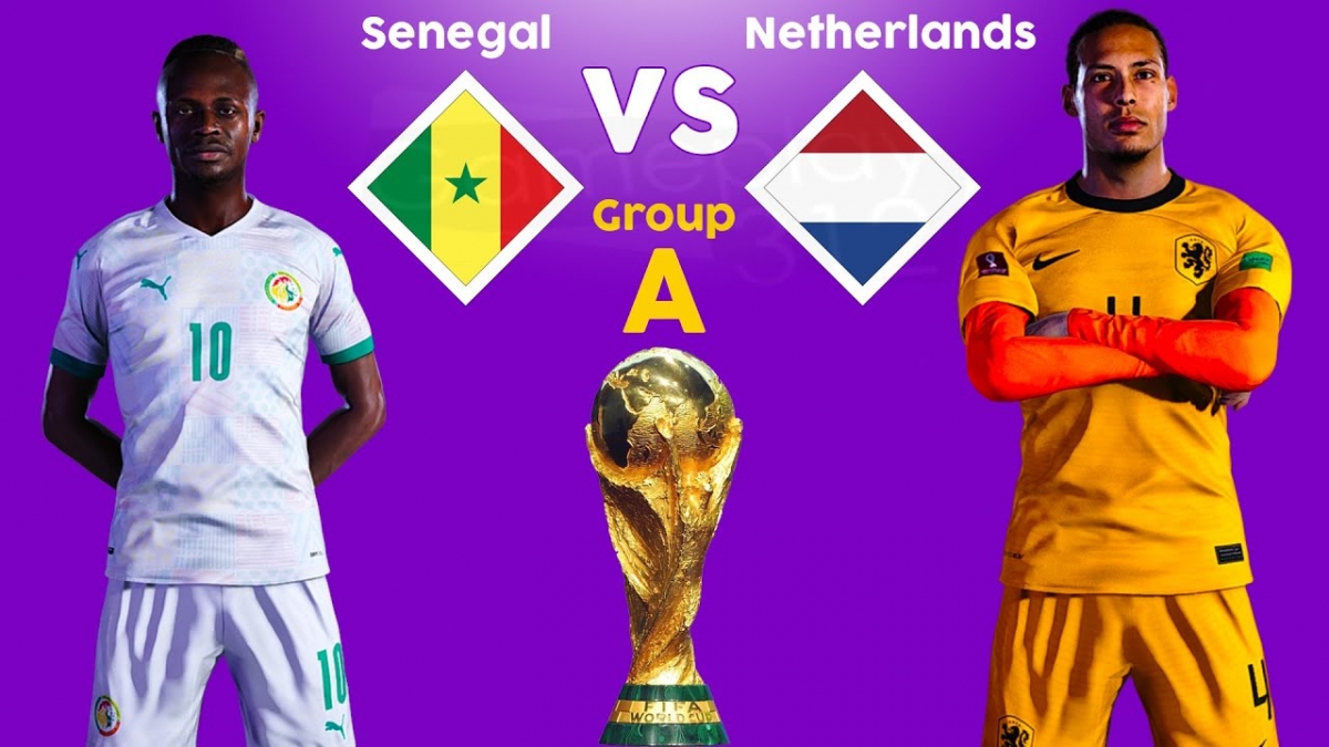 Чемпионат мира-2022. Сенегал – Нидерланды: котировки букмекеров, прогноз и ставка на матч