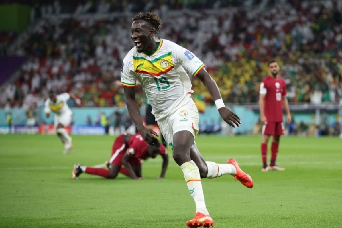 Победа Сенегала над Катаром принесла игроку на ставках 1900000 рублей